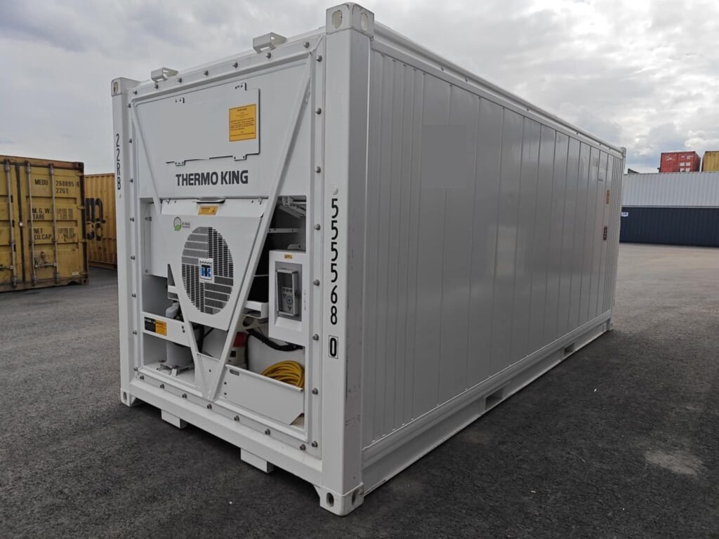REF reefer container Thermo King 5555680