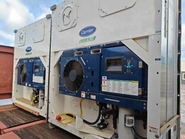 CONT-REEF-001 - immagini 3