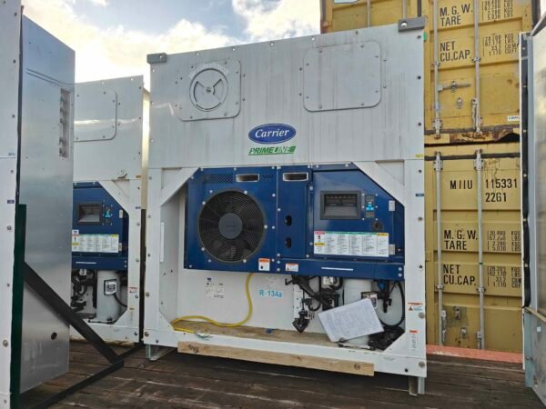 CONT-REEF-001 - immagini 4